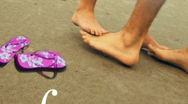 Timeline: Someone like you Sarah Dessen