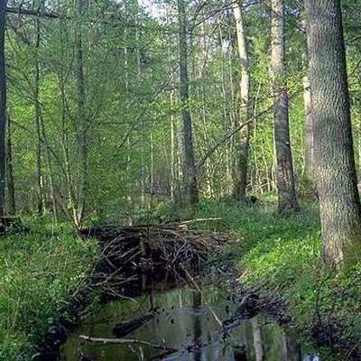 Timeline: Les Explorateurs Du Nouveau Monde