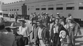 Timeline: Zach Testa's chapter 27 timeline