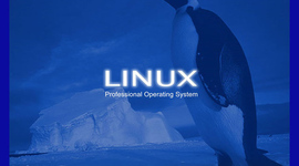 Timeline: El Código Linux