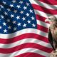 Eagle in front of the american flag