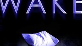 Timeline: Wake by Lisa McMann