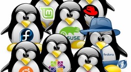 Timeline: THE HISTORY OF THE SOFTWARE FREE