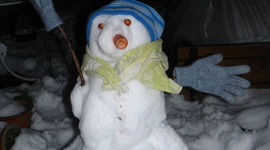 Timeline: My study year 2012