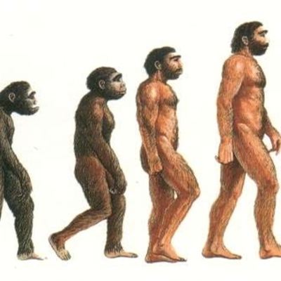 Timeline: L'Evoluzione dell'Uomo