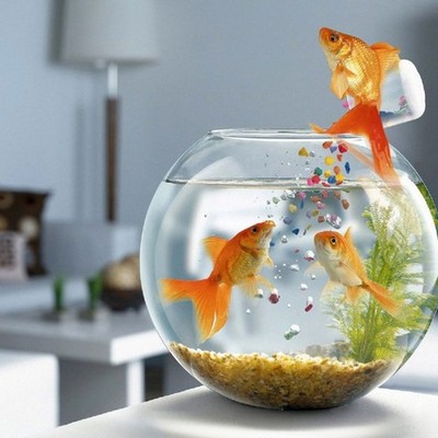 Timeline: derechos de autor y conexos