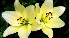 Timeline: My Reading Log 2012