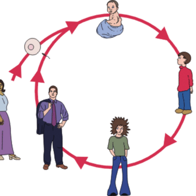 Timeline: The Human Life Cycle