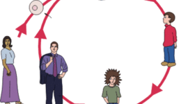 Timeline: The Human Life Cycle