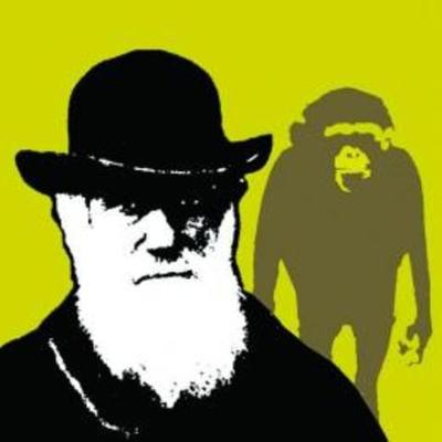 Timeline: Evolution Revolution