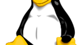 Timeline: VIDEO LINUX