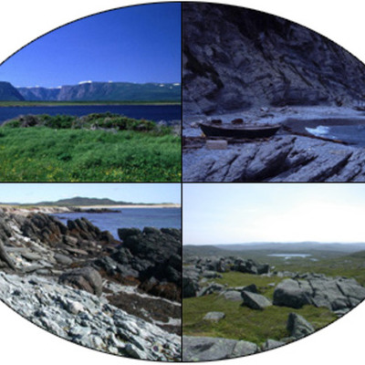 Timeline: Geological and Life Evolution