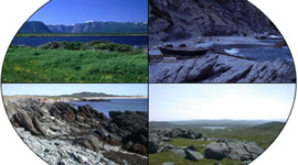 Timeline: Geological and Life Evolution