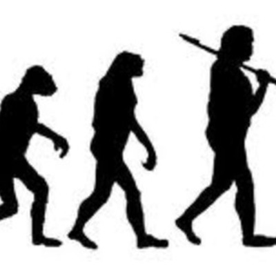 Timeline: theory of evolution