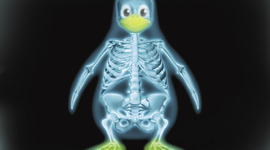 Timeline: Historia del Software Libre