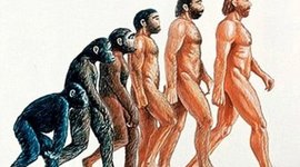 Timeline: ORIGEN Y EVOLUCIÓN DEL HOMBRE