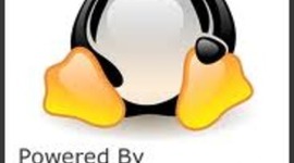 Timeline: Codigo de LINUX