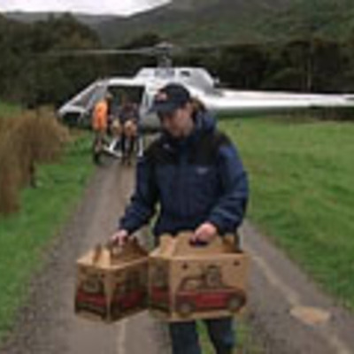 Timeline: Reintroduction of tui to Banks Peninsula