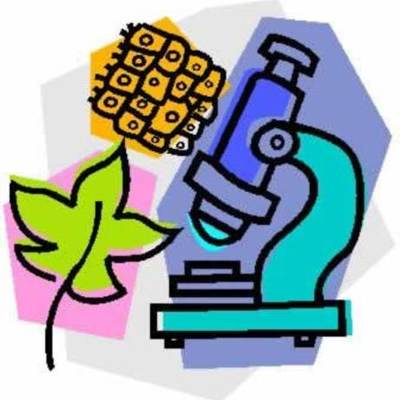 Timeline: Evolution Timeline- Carmen, H & K Reist Pd: 1