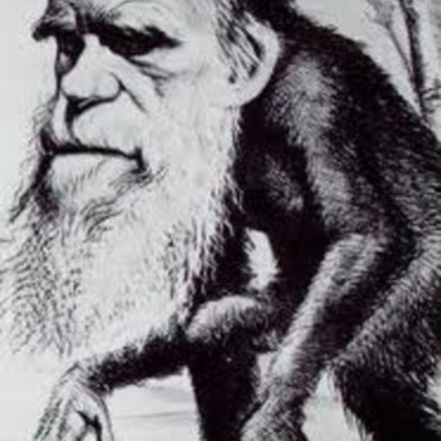 Timeline: Andrea Leites 1ºA CCMC. Biografía de Charles Darwin