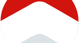 Timeline: Histórico de visitas do MSA