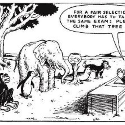 Timeline: CPD 2011/2012