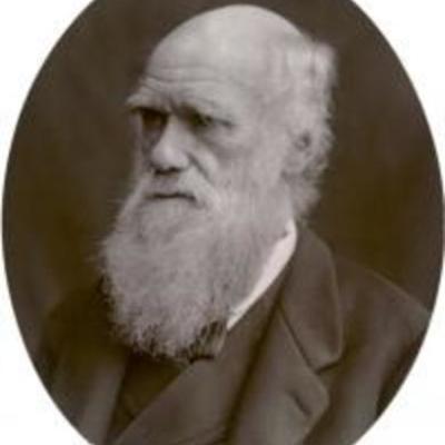 Timeline: Darwin