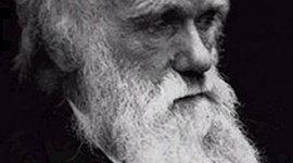 Timeline: DARWIN