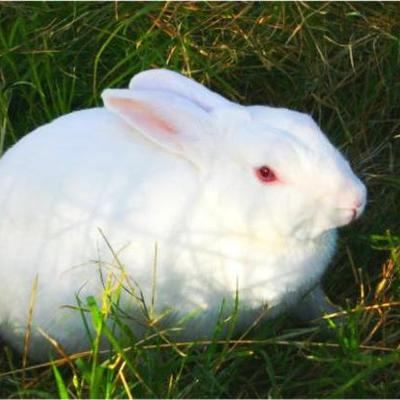 Timeline: MY TIMELINE 1999