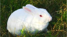 Timeline: MY TIMELINE 1999