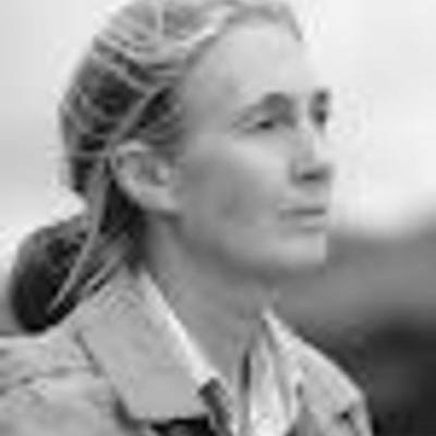 Timeline: jane goodall