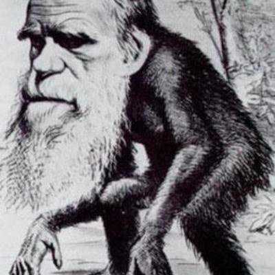 Timeline: Biogarafía de Darwin
