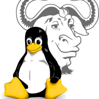 Timeline: Fundador del software y linux