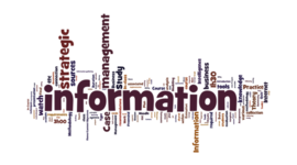 Timeline: Information Plan Modeling