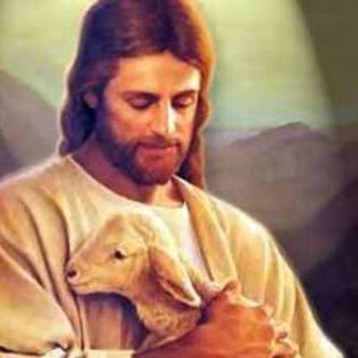 Timeline: Portfolio Pelicula