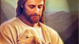 Timeline: Portfolio Pelicula