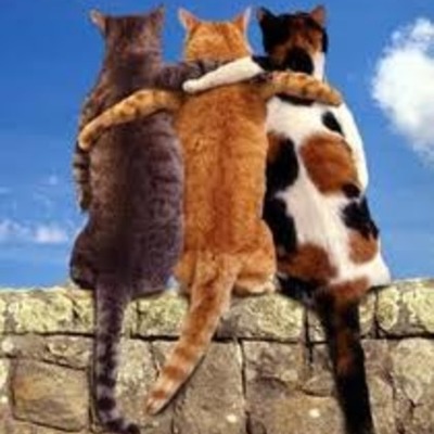 Timeline: nuestra linea del tiempo