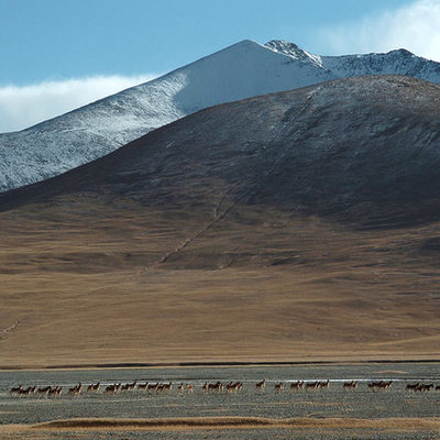 Timeline: conflict on the great plains