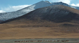 Timeline: Conflict on the Great Plains