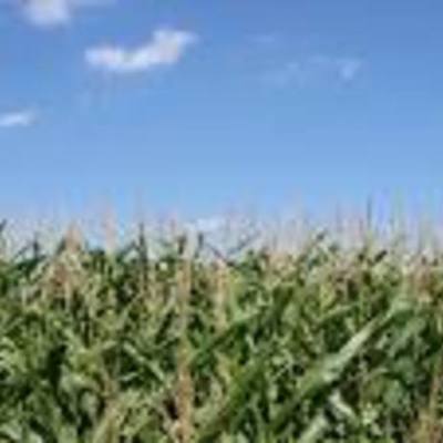 Timeline: Conflict On The Great Plains