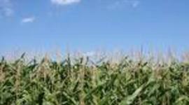 Timeline: Conflict On The Great Plains