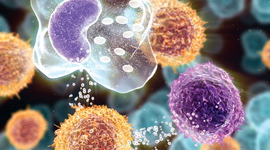 Timeline: Development of Cell Theory
