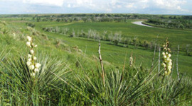 Timeline: Conflict on the Great Plains