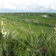 Great plains