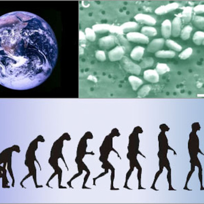 Timeline: jordens utveckling