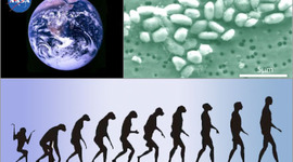 Timeline: jordens utveckling