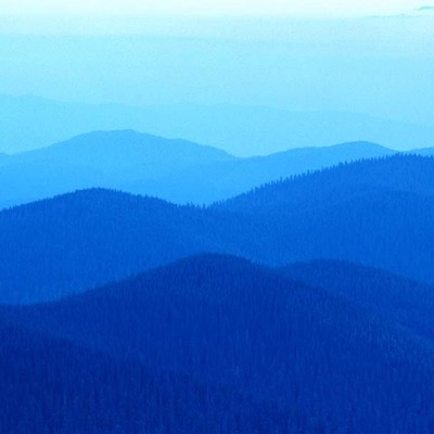 Timeline: Practice Timeline