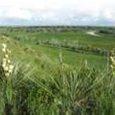 Timeline: Conflict in the Great Plains Timeline