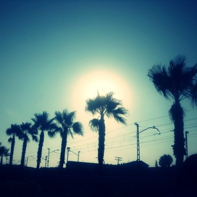 Timeline: Plan for Evaluation