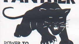 Timeline: Black Panther Panther